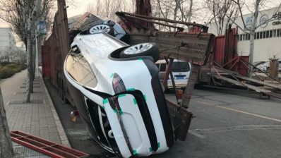 Model X