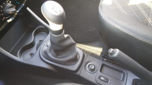 Lada largus