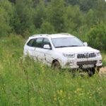 Foton Sauvana