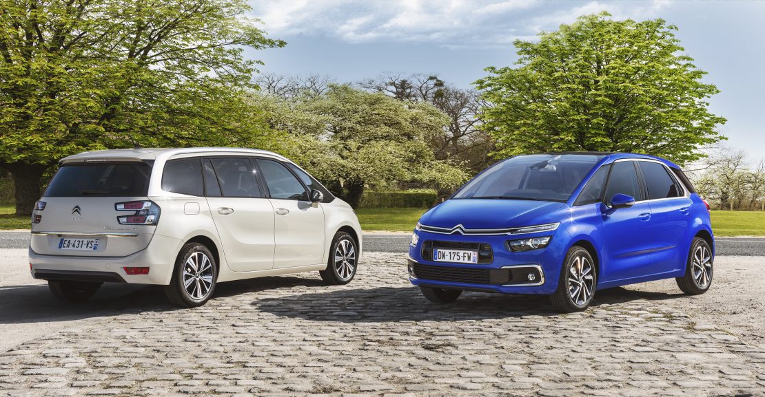 Citroen Spacetourer RIP CURL
