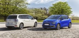 Citroen Spacetourer RIP CURL