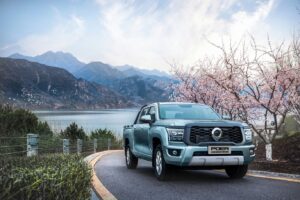 gwm poer kingkong